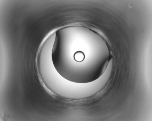 X0000085781054200704091408