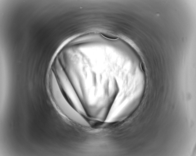 X0000085781056200704091408