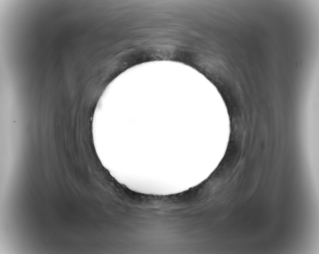 X0000085781057200704091408