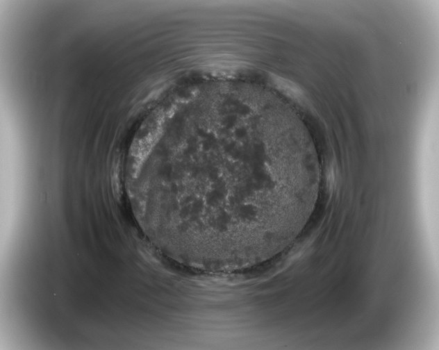 X0000085781060200704091408