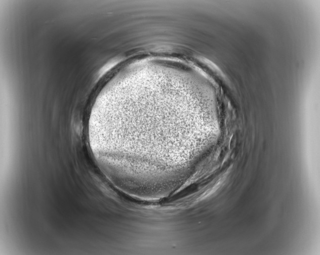 X0000085781065200704091407