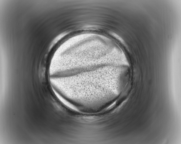 X0000085781066200704091407