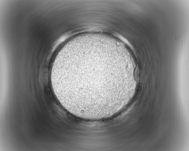 X0000085781067200704091407