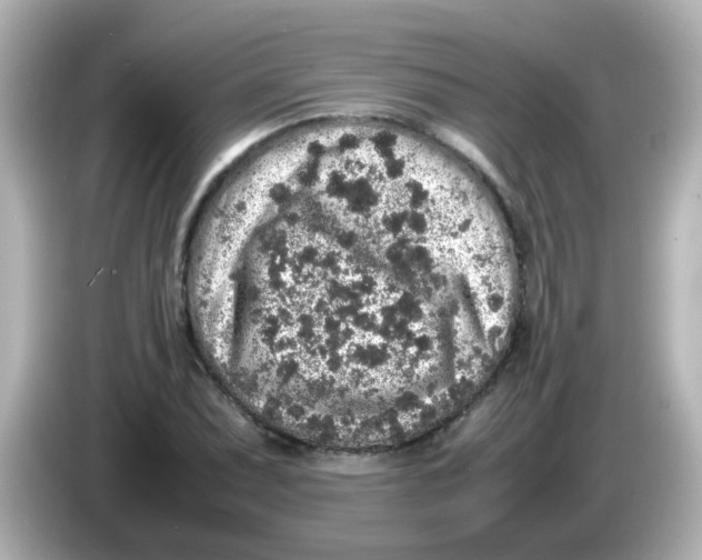 X0000085781071200704091407