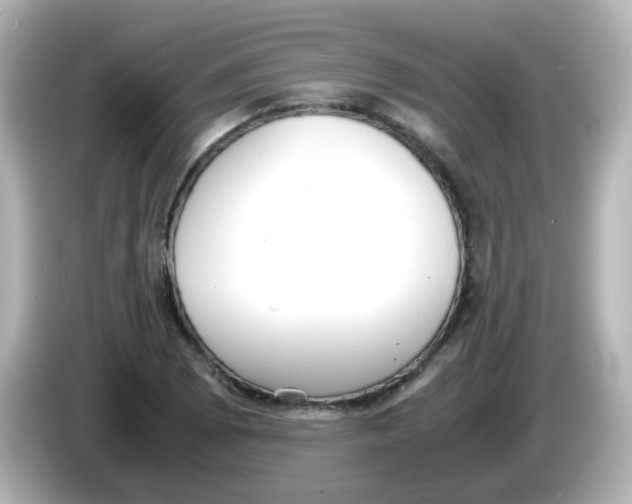 X0000085781073200704091407