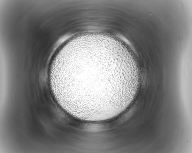 X0000085781074200704091407