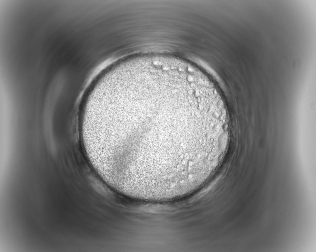 X0000085781075200704091407