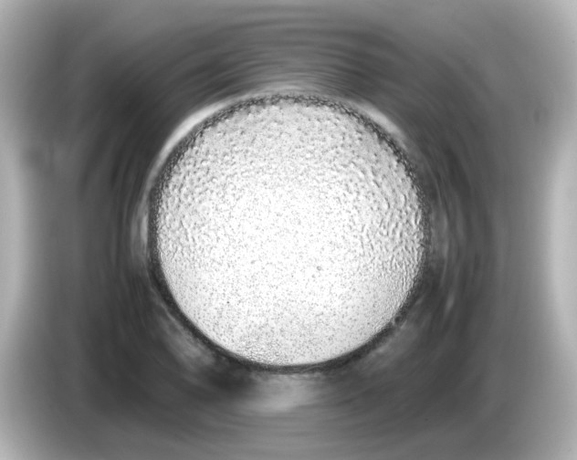 X0000085781078200704091407