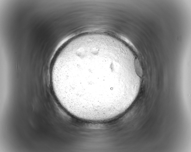 X0000085781079200704091407