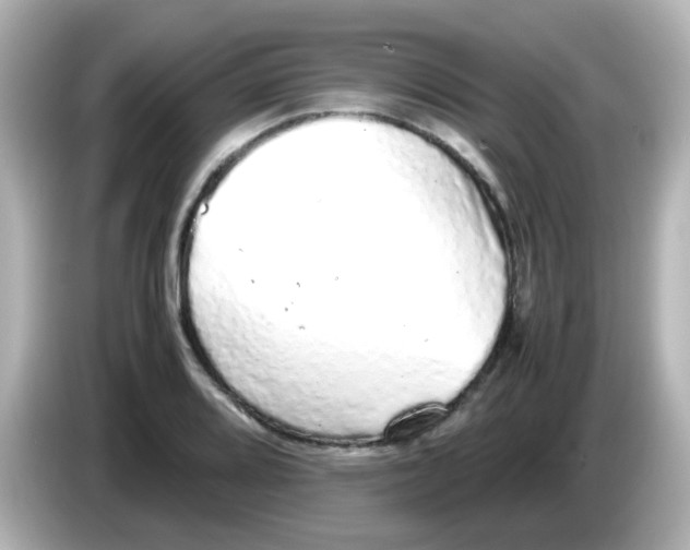 X0000085781080200704091407