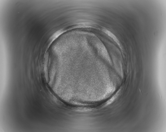 X0000085781081200704091407