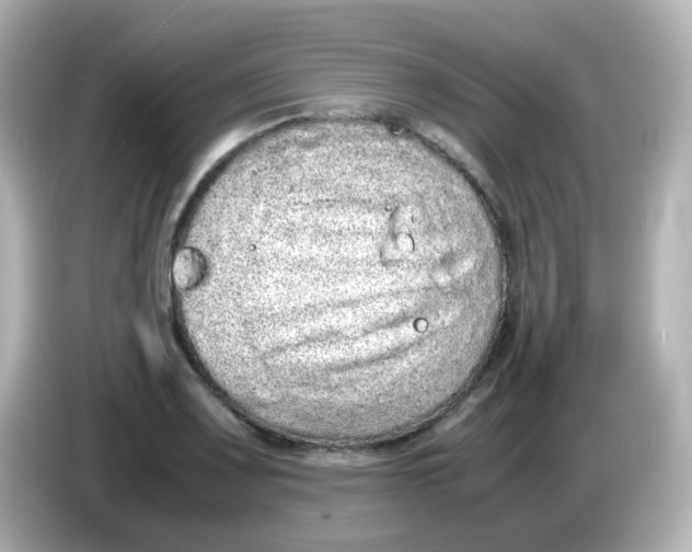 X0000085781083200704091407