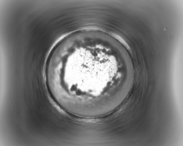 X0000085781084200704091407