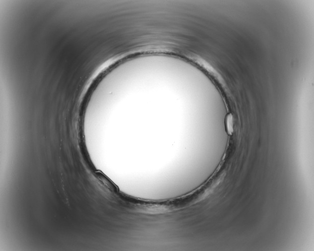 X0000085781085200704091407