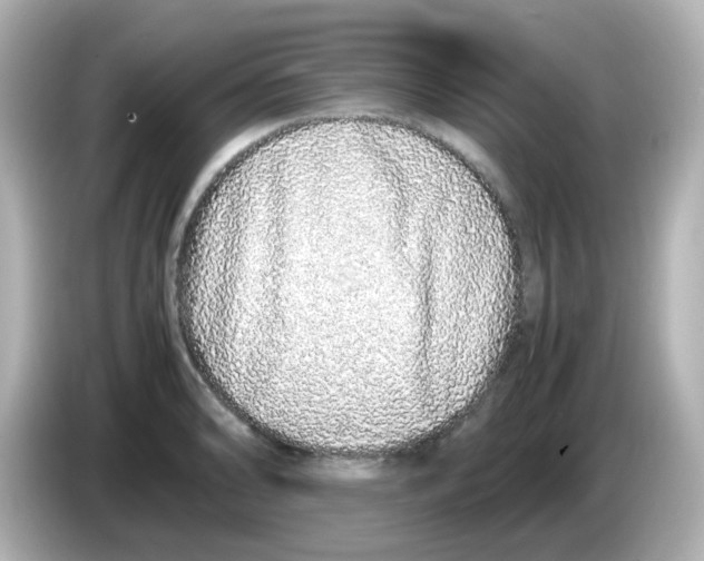 X0000085781086200704091407