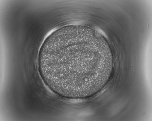 X0000085781087200704091407