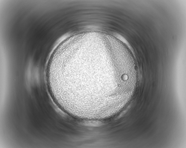 X0000085781090200704091407