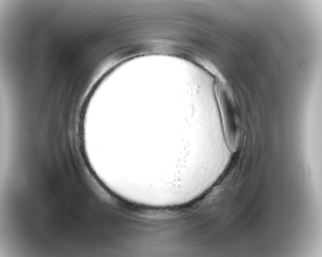 X0000085781091200704091407