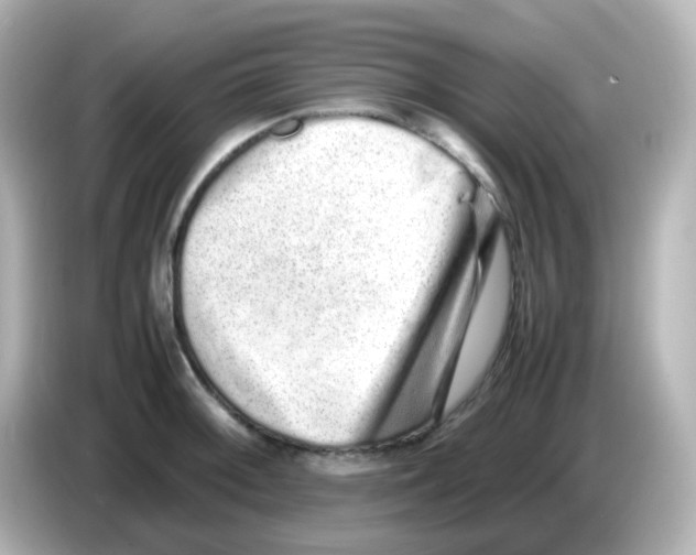 X0000085781092200704091407