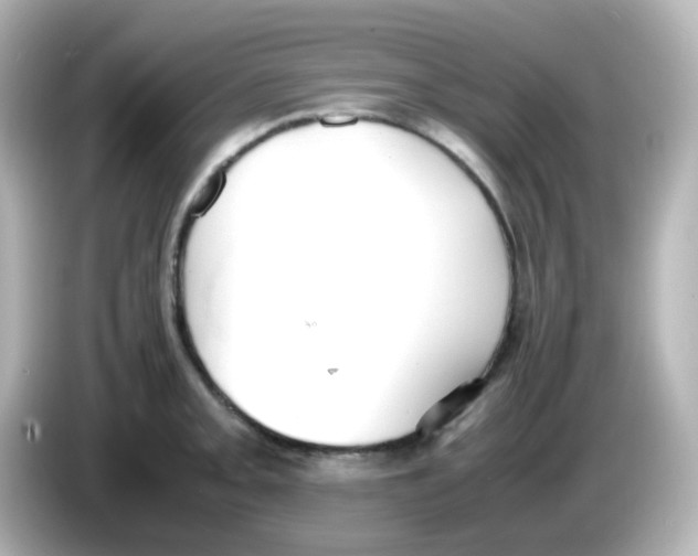 X0000085781093200704091407