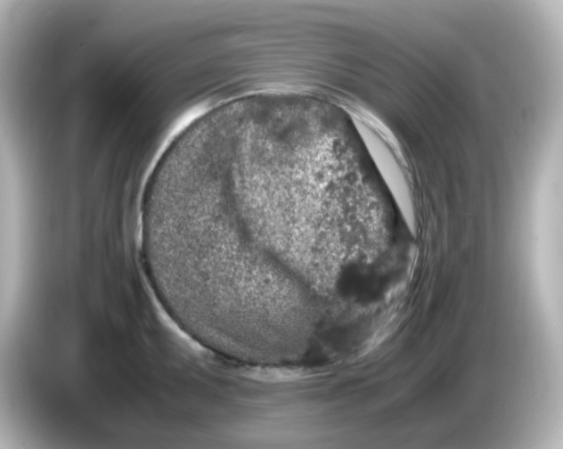 X0000085781095200704091407