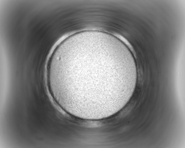 X0000085781096200704091407