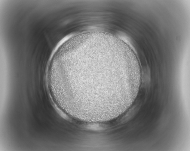 X0000085781098200704091407