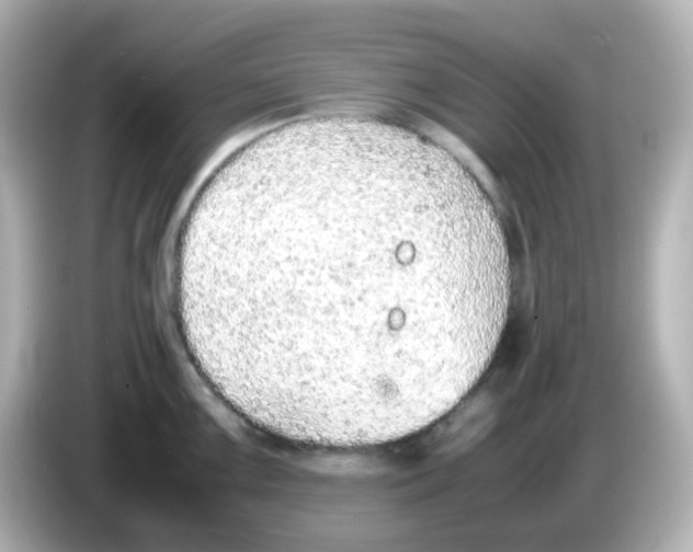 X0000085781099200704091407