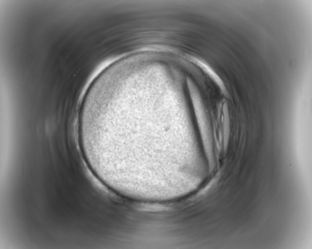 X0000085781100200704091407