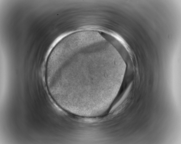 X0000085781102200704091407