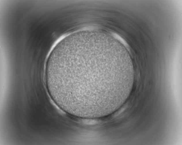 X0000085781103200704091407