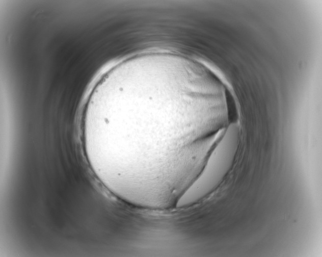 X0000085781104200704091407