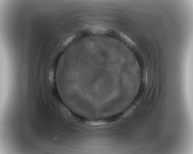 X0000085781108200704091406