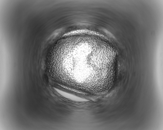 X0000085781110200704091406