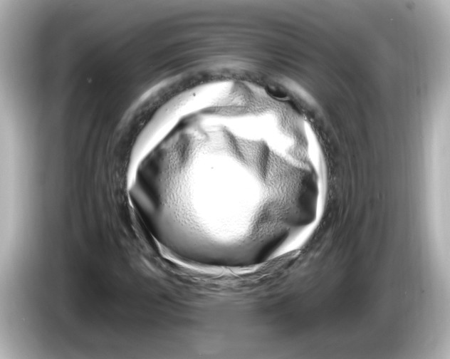 X0000085781112200704091407