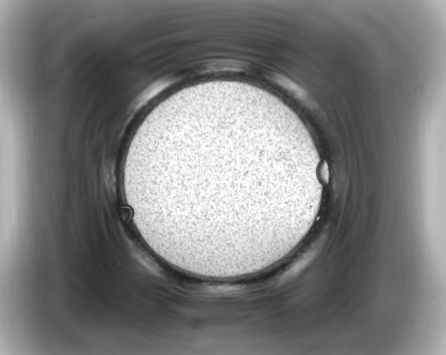 X0000085781113200704091407