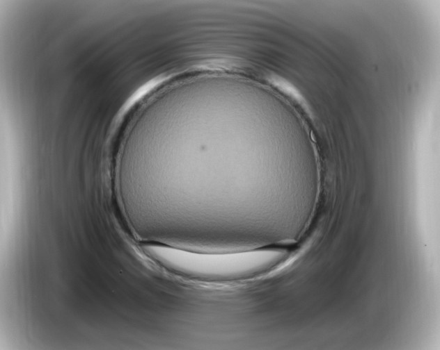 X0000085781114200704091407