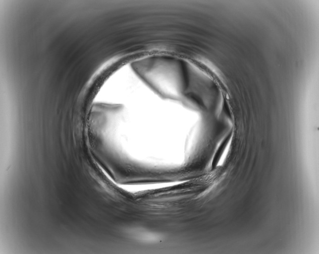 X0000085781115200704091407