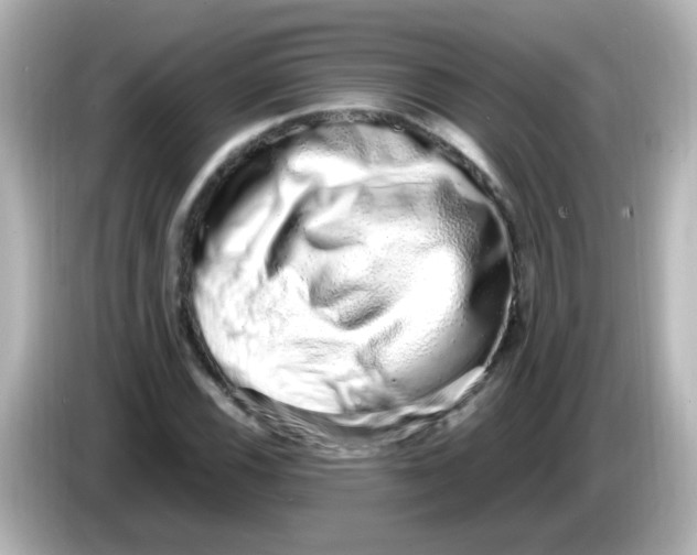 X0000085781116200704091407