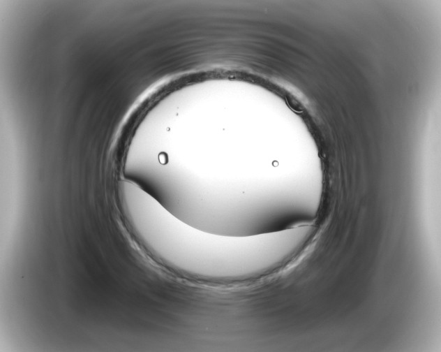 X0000085781118200704091407