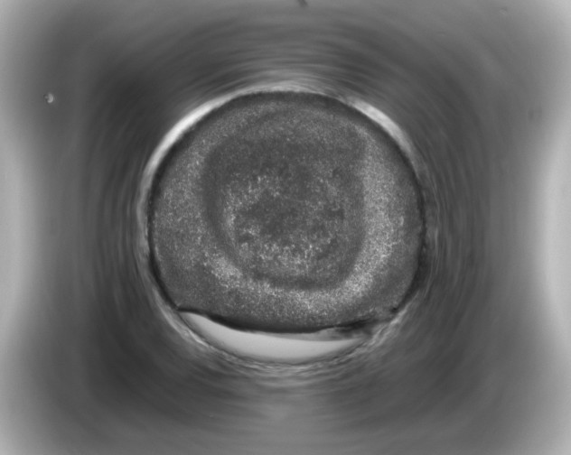 X0000085781120200704091407