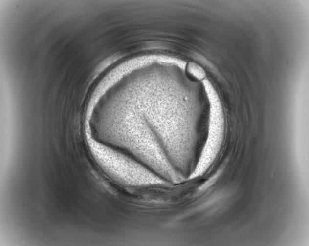 X0000085781121200704091407