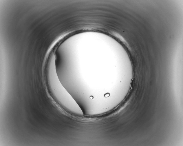 X0000085781122200704091407