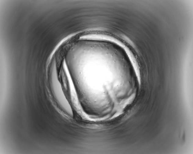 X0000085781124200704091407