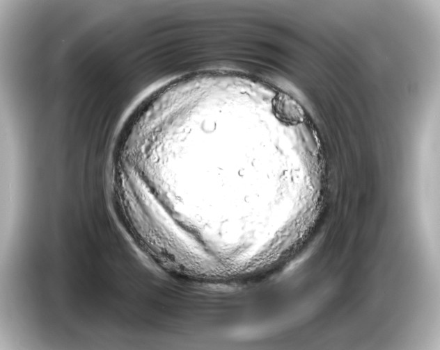 X0000085781125200704091407