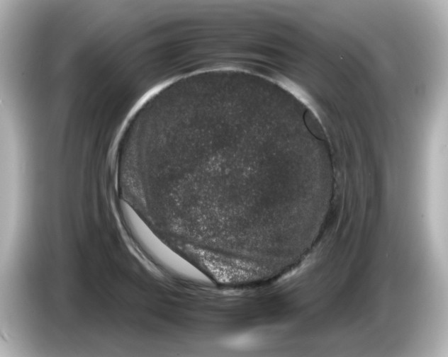 X0000085781127200704091407