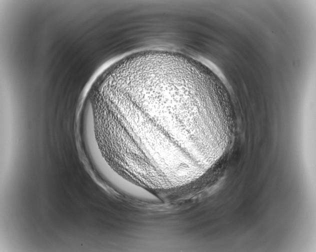 X0000085781128200704091407