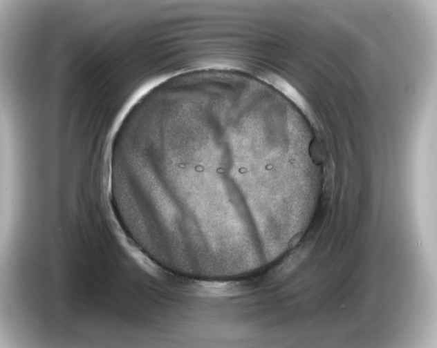 X0000085781132200704091407