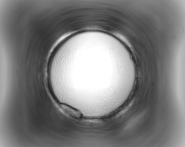 X0000085781133200704091407