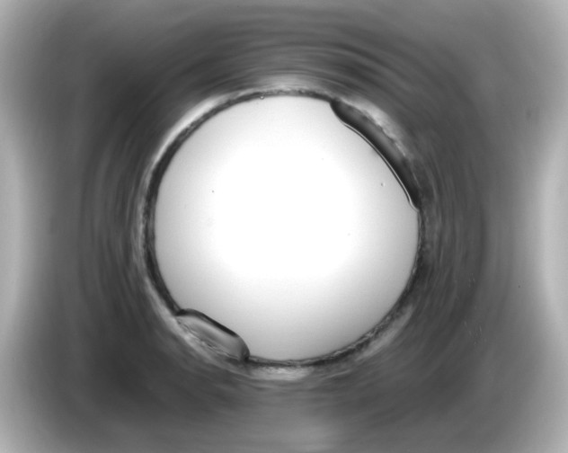 X0000085781134200704091407